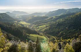 Blick ins Hornungstal bei Gutenmann, © Wiener Alpen in Niederösterreich Blick ins Hornungstal bei Gutenmann, © Wiener Alpen in Niederösterreich