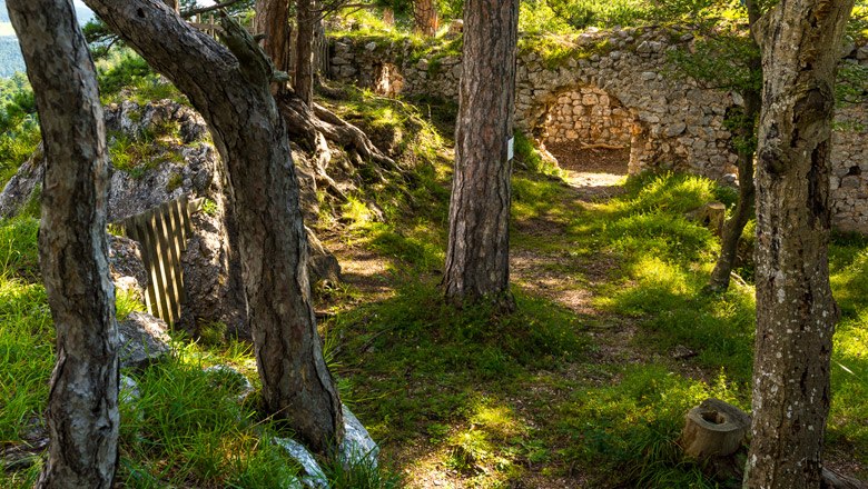 Ruine Schrattenbach, © Wiener Alpen, Christian Kremsl Ruinenmauer mit Torbogen im Wald, umgeben von Bäumen und Gras.