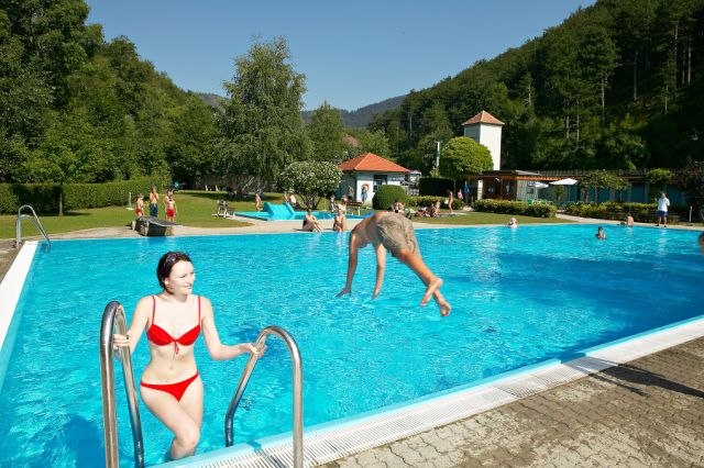 Schwimmbad Grünbach, © Fran Ein Freibad mit Menschen, die schwimmen und entspannen. Eine Frau steigt aus dem Wasser, während ein Mann ins Becken springt. Umgeben von Bäumen und Hügeln.
