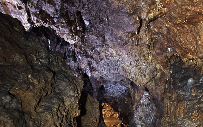 Tropfsteingebilde in der Einhornhöhle, © Wiener Alpen, Foto: Bene Croy Innenansicht der Einhornhöhle mit Tropfsteinen an der Decke.