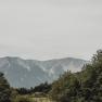 Schneeberg-Blick, © Niederösterreich Werbung/Sophie Menegaldo Blick auf den Schneeberg mit grünen Bäumen im Vordergrund.