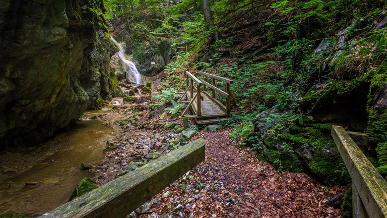 Waldegg - Dürrenbach, © Wiener Alpen, Christian Kremsl Ein Waldweg mit Holzbrücke führt zu einem Wasserfall in einer grünen, felsigen Schlucht.