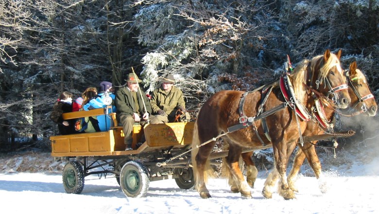 Pferdekutschenfahrt Advent Hohe Wand, © Naturpark Hohe Wand Pferdekutschenfahrt in winterlicher Landschaft