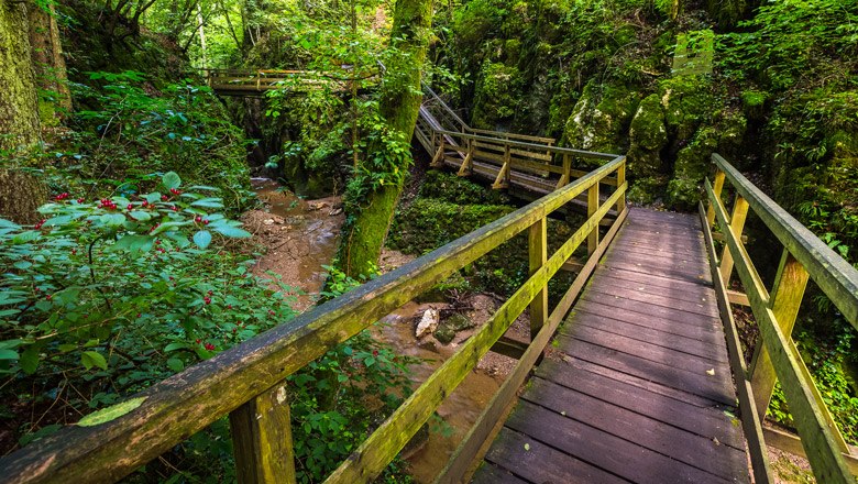 Die Johannesbach-Klamm, © Wiener Alpen, Christian Kremsl Holzstege in der grünen Johannesbach-Klamm.