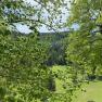Aussicht - Oberhof, © Wiener Alpen Blick durch grüne Bäume auf eine Wiese und bewaldete Hügel in Oberhof.