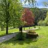 Aussicht Oberhof, © Wiener Alpen Ein grüner Park mit Bäumen, einem Weg und einem alten Brunnen.