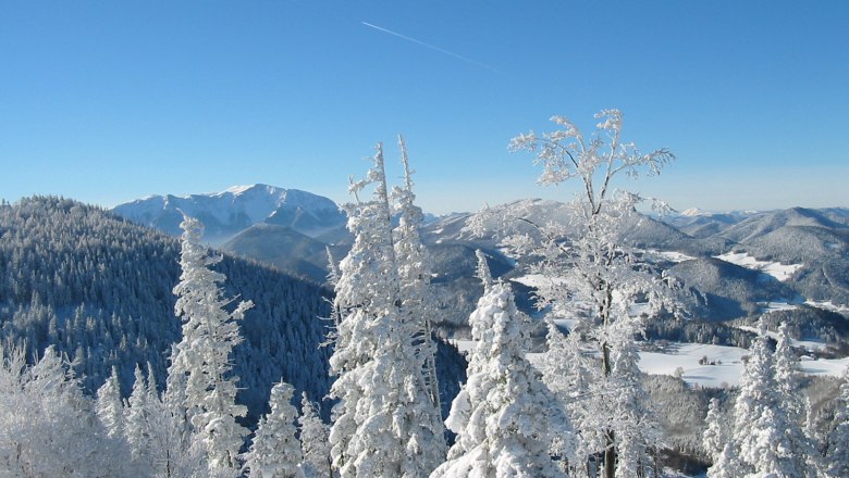 Verschneite Landschaft im Naturpark Hohe Wand mit schneebedeckten B&auml;umen und Bergen im Hintergrund.