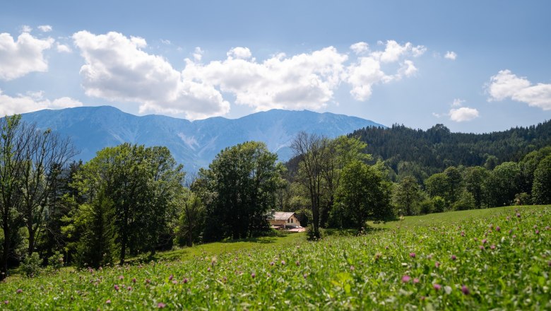 Gr&uuml;ne Wiese mit B&auml;umen und einem Haus im Vordergrund, dahinter Berge unter blauem Himmel mit Wolken.