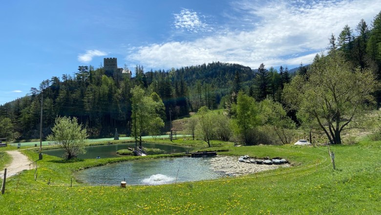 Landschaft mit Teich, Wiese und Burg im Hintergrund.