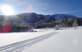 Panoramaloipe Puchberg, © Wiener Alpen in Niederösterreich - Schneeberg Hohe Wand