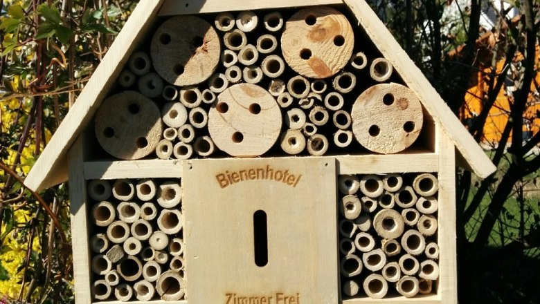 Ein Bienenhotel aus Holz mit verschiedenen Röhren und Löchern, aufgehängt an einem Pfosten im Garten.