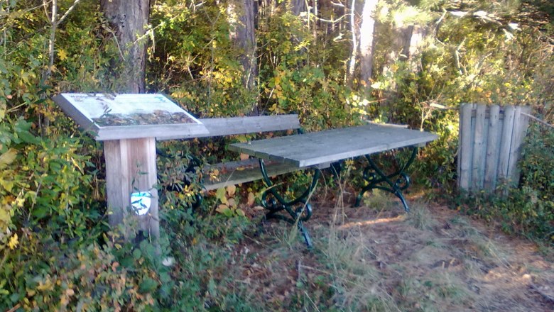 Holztisch und Bank in einem Wald mit Infotafel und Mülleimer.