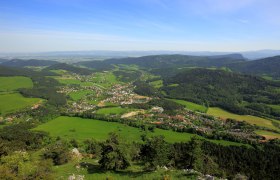 Luftaufnahme von Grünbach am Schneeberg mit grünen Feldern und Wäldern.