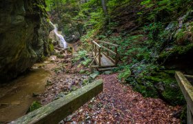 Ein Waldweg mit Holzbrücke führt zu einem Wasserfall in einer grünen, felsigen Schlucht.