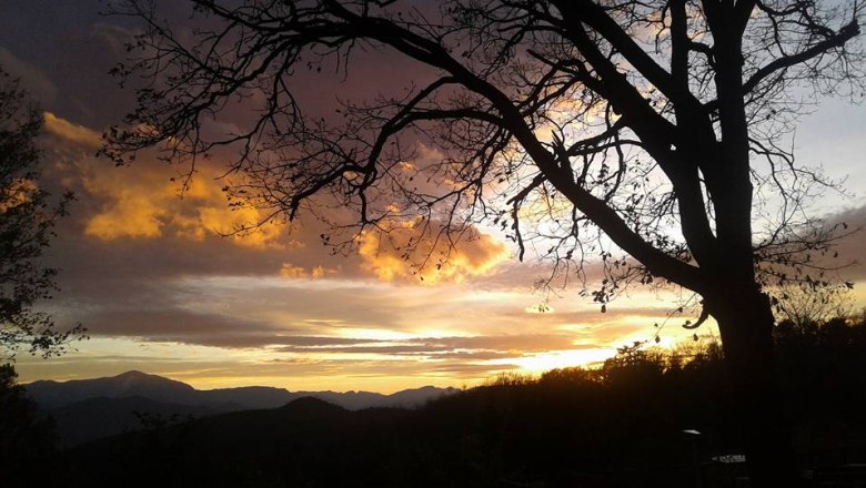 Sonnenuntergang hinter einem Baum mit kahlen Ästen und Hügeln im Hintergrund.