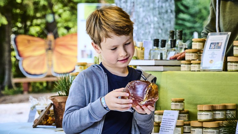 Ein Junge betrachtet ein großes Stück Harz auf einem Marktstand mit Naturprodukten.