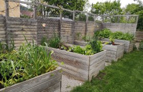 Hochbeete mit verschiedenen Pflanzen in einem Garten.