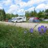 Campingplatz mit Wohnmobilen, Zelten und blühenden Blumen im Vordergrund.