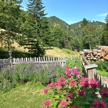 Garten, &copy; Manuela Heher