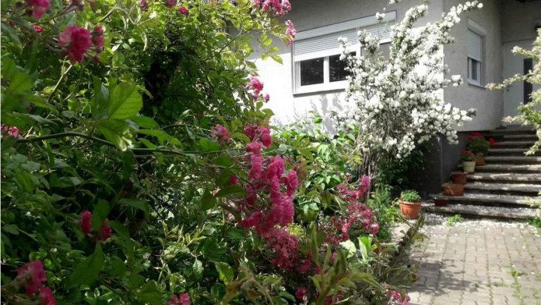 Garten mit blühenden Sträuchern vor einem Haus mit Treppe.