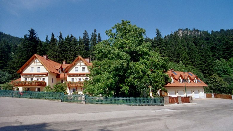 Ein gro&szlig;es Haus mit roten D&auml;chern und Balkonen, umgeben von B&auml;umen und einem Wald im Hintergrund.