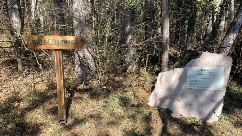 Holzschild mit der Aufschrift 'Waldlehrpfad' und ein großer Stein mit Infotafel im Wald.