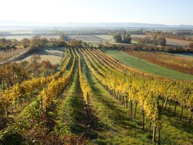 WAB - Etappe 19: Markt Piesting - Bad Fischau - Wiener Neustadt, &copy; z.V.g. von Marktgemeinde Bad Fischau-Brunn, Foto Andreas Lukas Dostal