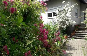 Garten mit blühenden Sträuchern vor einem Haus mit Treppe.