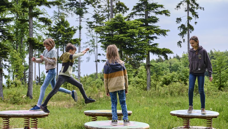 Kinder spielen auf Sprungplattformen im Wald.