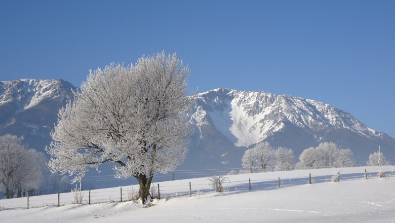 Verschneite Landschaft mit Schneeberg im Hintergrund