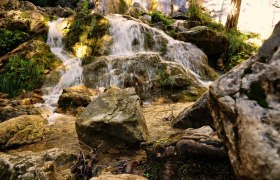 Ein kleiner Wasserfall fließt über moosbedeckte Felsen in einem Wald.