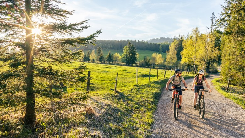 Radfahren im Schneebergland, © Wiener Alpen/Fülöp