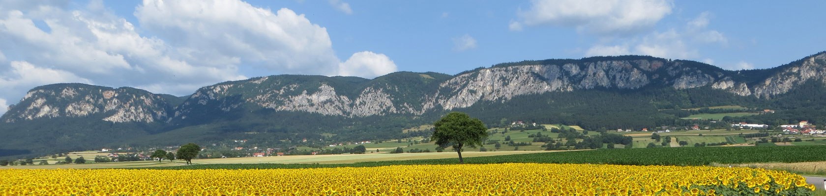 Die Hohe Wand, © Naturpark Hohe Wand