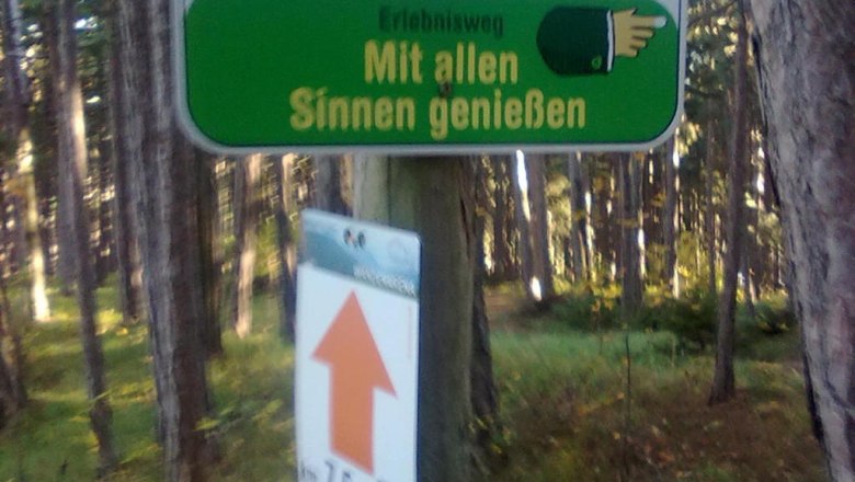 Ein Schild im Wald mit der Aufschrift 'Mit allen Sinnen genießen'.