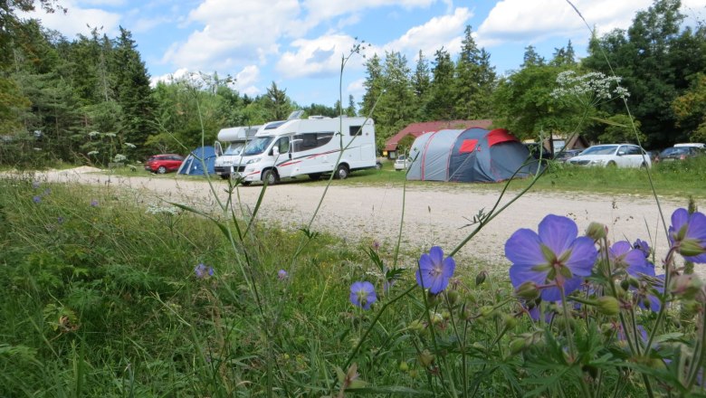 Campingplatz mit Wohnmobilen, Zelten und blühenden Blumen im Vordergrund.