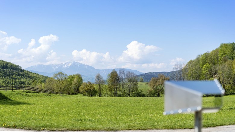 Grüne Wiese mit Bergen im Hintergrund und einem unscharfen Objekt im Vordergrund.