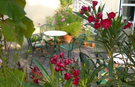 Ein gemütlicher Gartenbereich mit grünen Stühlen und Tischen, umgeben von blühenden Pflanzen.