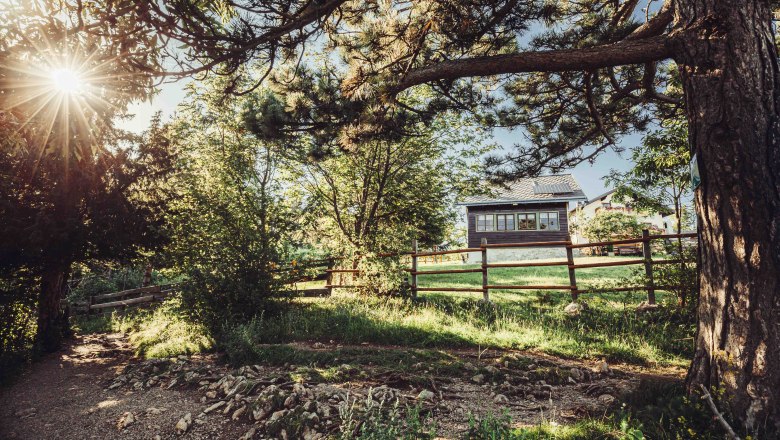 Naturpark Hohe Wand, © Naturpark Hohe Wand/Fraller