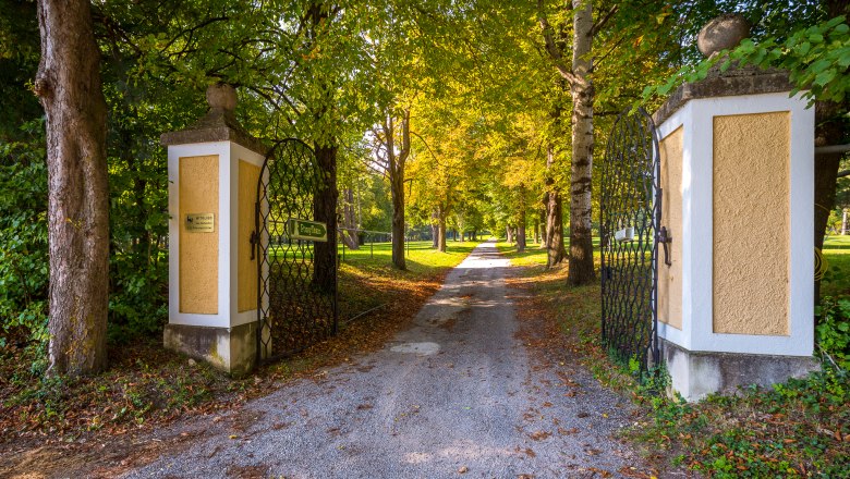 Eingangstor mit offenem Gittertor und Baumallee im Hintergrund.