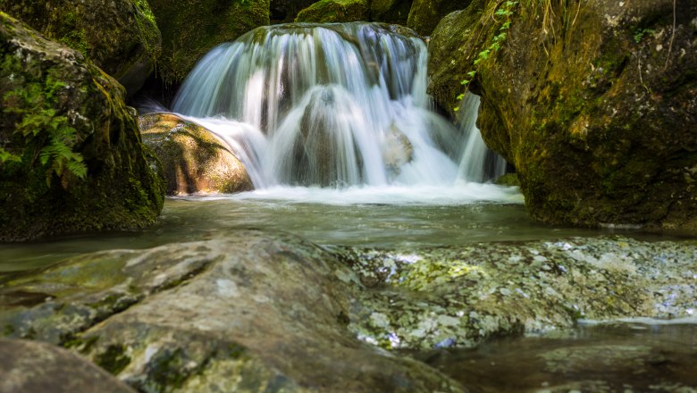 Ein kleiner Wasserfall fließt über moosbedeckte Felsen in einem Waldgebiet.