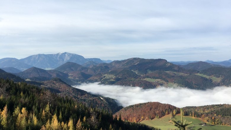 Blick auf eine Berglandschaft mit Nebel in den T&auml;lern und bewaldeten H&uuml;geln im Vordergrund.
