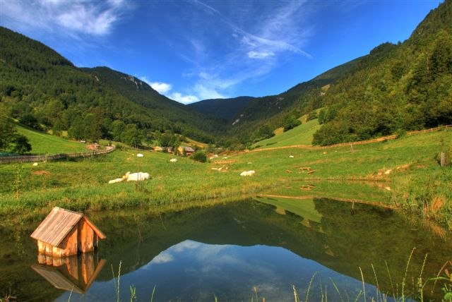 Ein kleiner Teich in einer grünen Berglandschaft mit blauem Himmel.