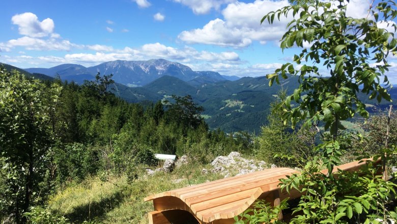Holzbank mit Bergblick und Bäumen im Vordergrund.