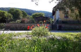 Ein gelbes Haus mit Garten und Mohnblumen im Vordergrund, umgeben von Bäumen und Hügeln.