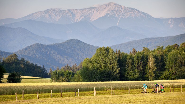 Mit Ausblick durchs Piestingtal, © Wiener Alpen, Bartl, mountainbikeguides.com