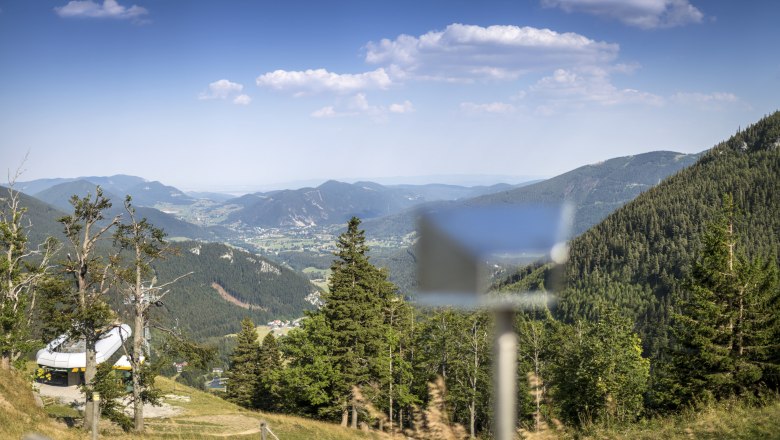 Blick von der Edelweißhütte auf den Schneeberg mit grünen Wäldern und Bergen im Hintergrund.