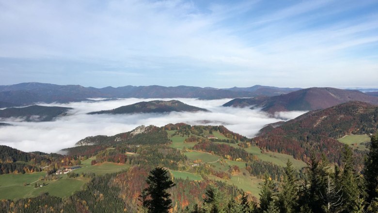 Blick auf eine nebelverhangene Berglandschaft mit gr&uuml;nen Wiesen und W&auml;ldern unter blauem Himmel.