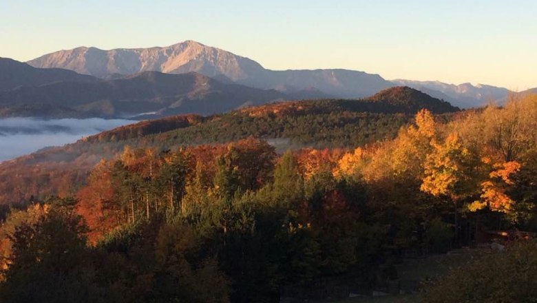 Herbstlandschaft mit bunten Bäumen und Bergen im Hintergrund bei Sonnenaufgang.