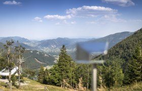 Blick von der Edelweißhütte auf den Schneeberg mit grünen Wäldern und Bergen im Hintergrund.