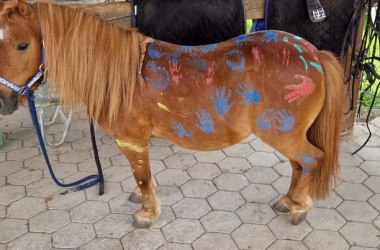 Reiten am Fuße des Schneeberges, © Team Sion